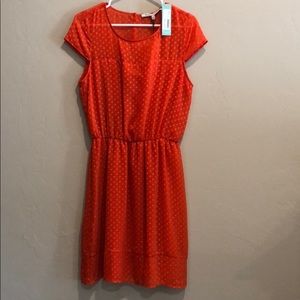 NWT Collective Concepts dress. Small